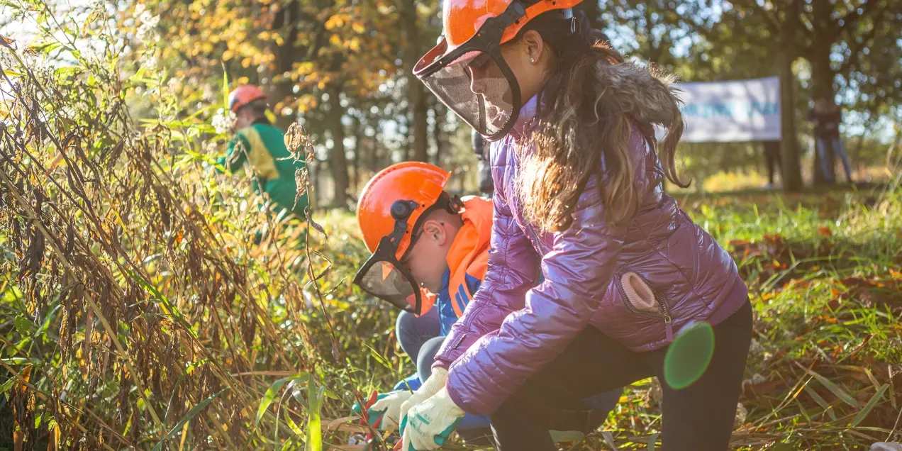 Aan het werk in de natuur