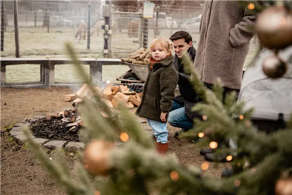 Alpacafarm in Christmas Atmosphere!