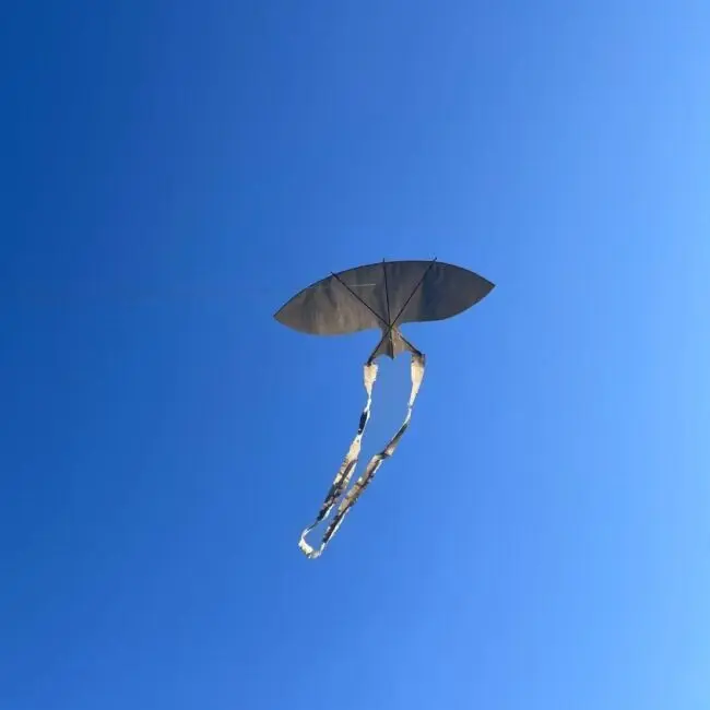 Anchored, Drifted – kite-making workshop