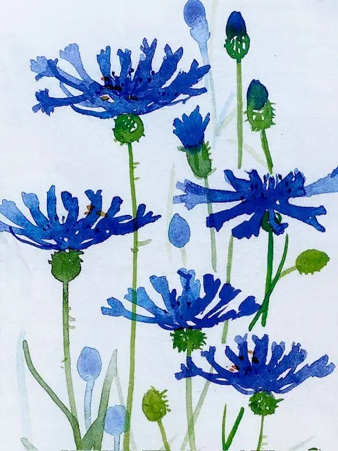 Aquarel avontuur