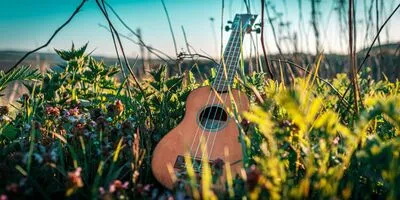 Start Playing the Ukulele - Workshop on the Waal