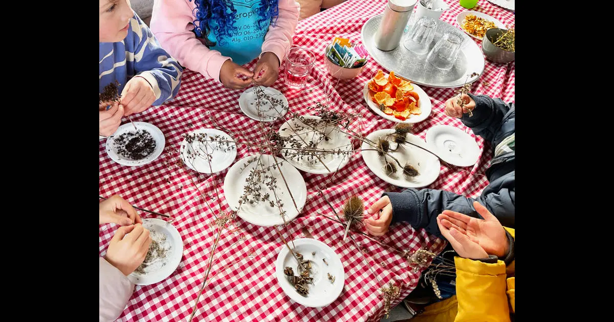 Dakpark Natuurkids; fun outdoor activities in nature