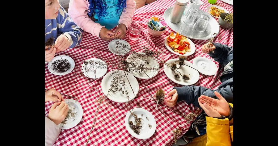 Dakpark Natuurkids; fun outdoor activities in nature