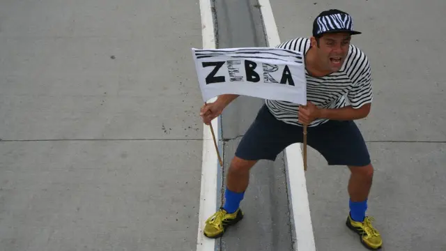 The Fastest Zebra