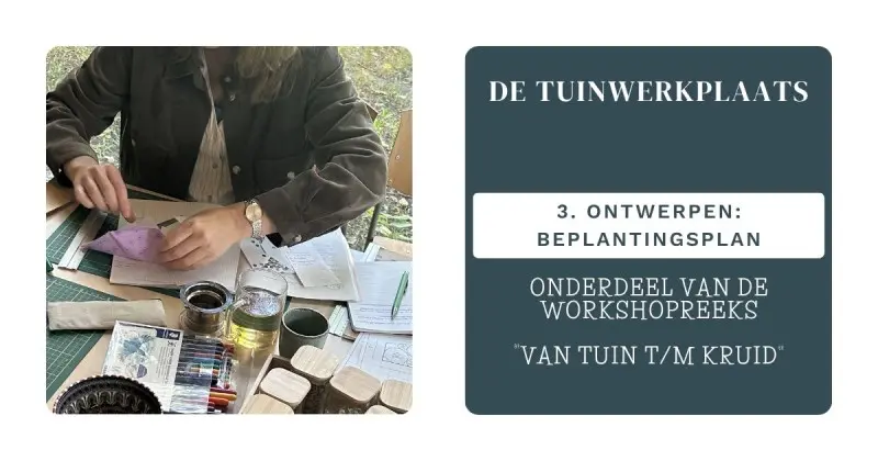 De Tuinwerkplaats: Planting Plan (3)