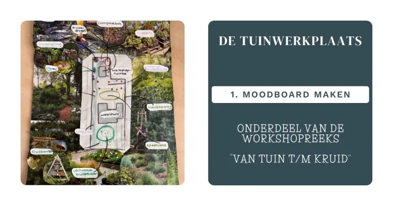 De Tuinwerkplaats: Making a Moodboard (1)