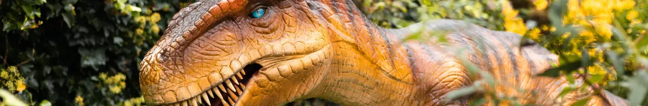 Dino Discovery