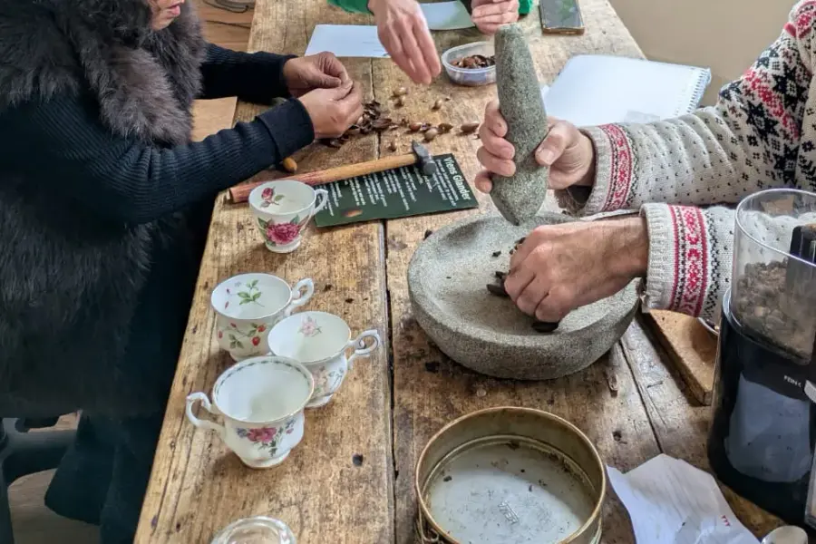 Acorn workshop