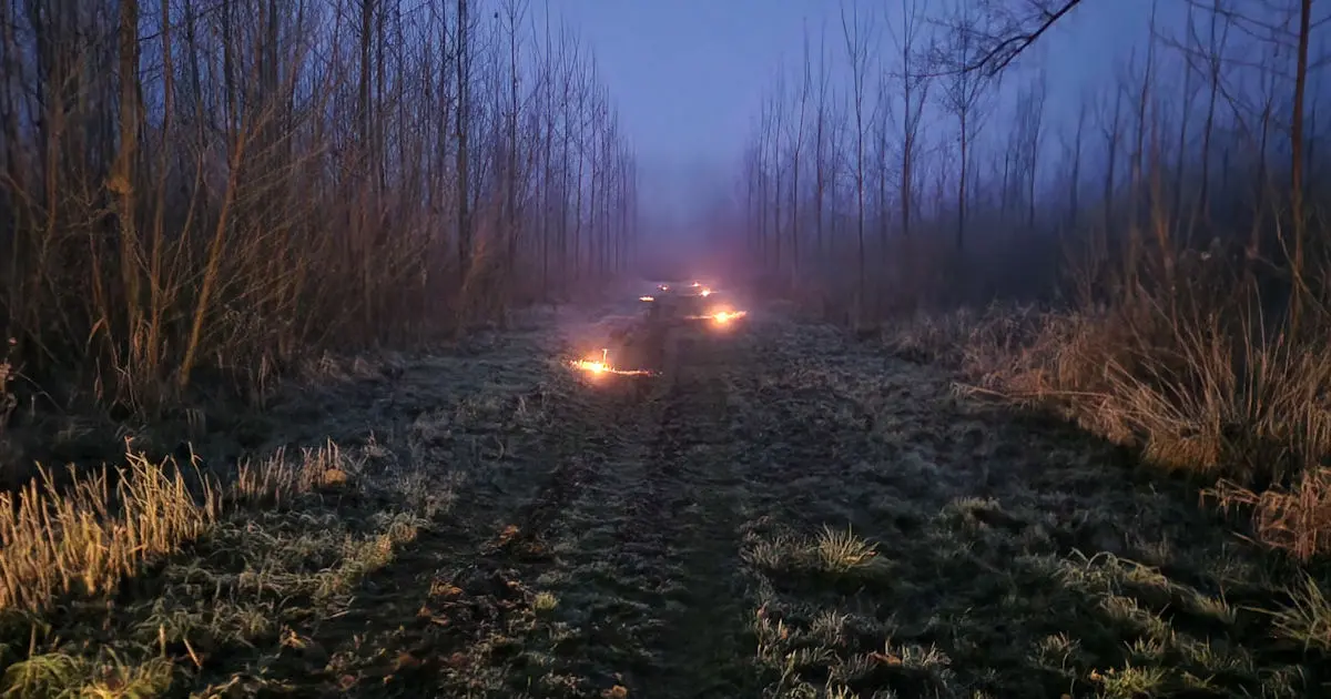 Evening walk with lights in Horsterwold Park.