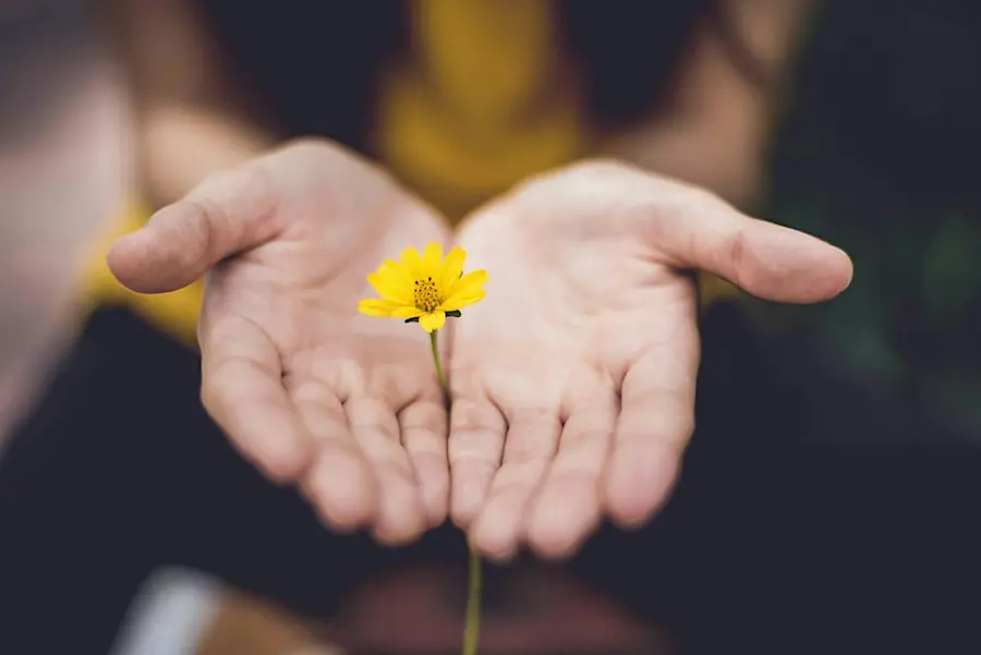 Find Balance between Giving & Receiving - Creative Exploration