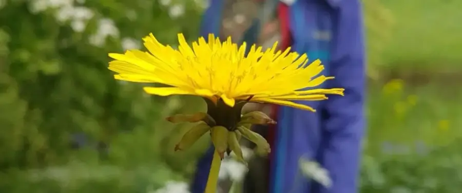 Foraging in a city that is warming up.