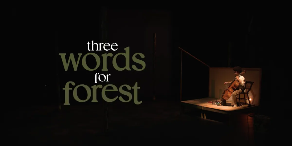 Forest Encounters