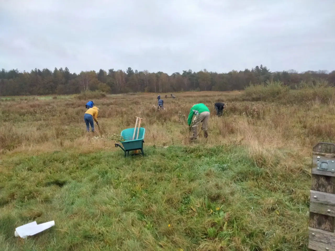 Grandparents – Harvest Day in het Hurkske