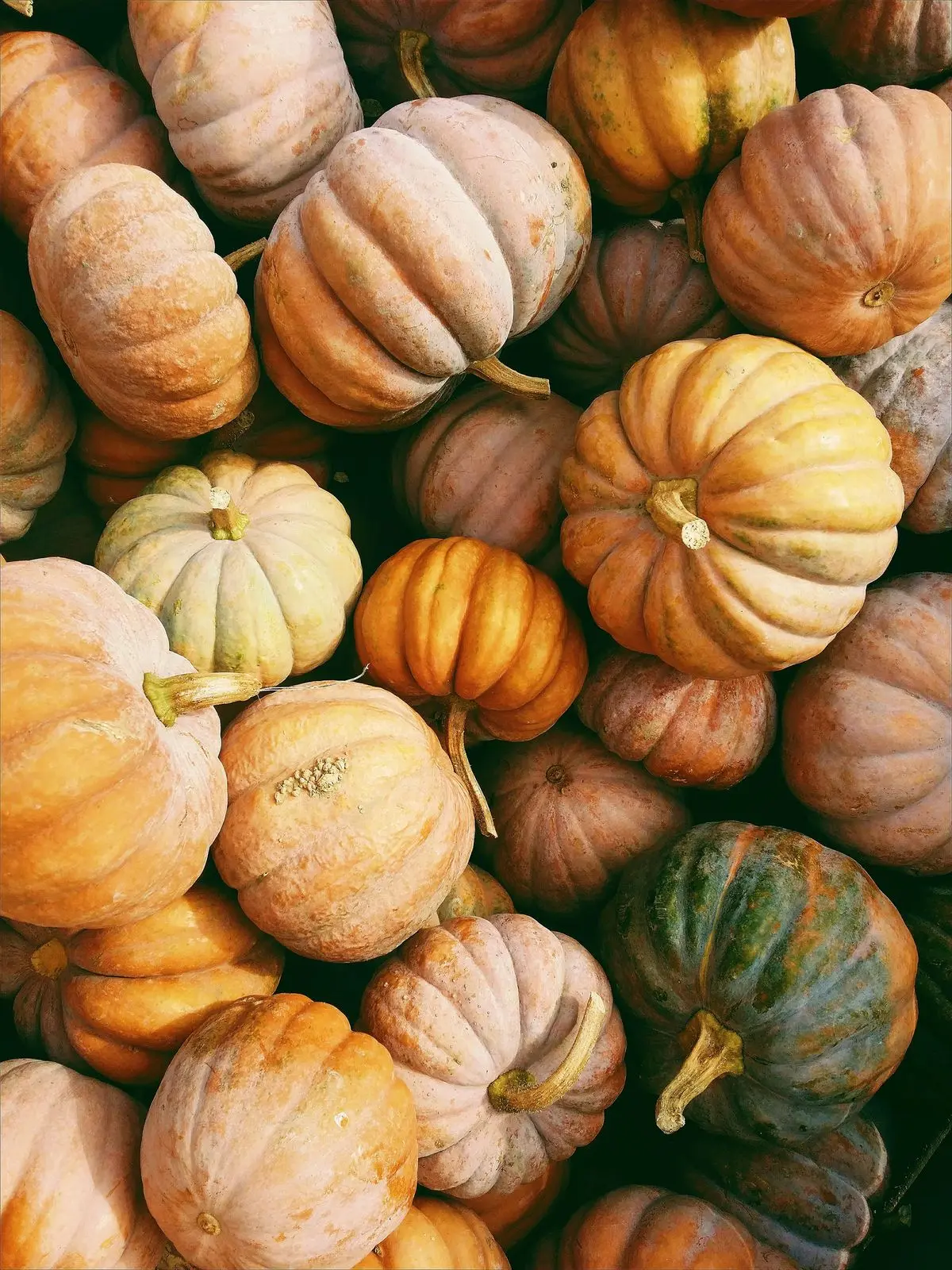 Halloween scavenger hunt