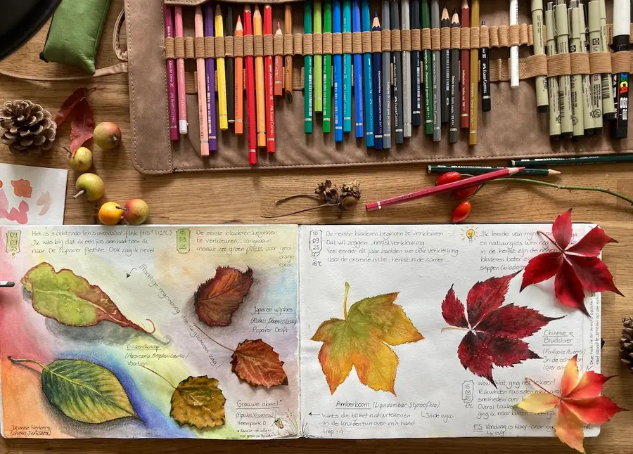 Autumn and Winter Workshops Nature Journaling