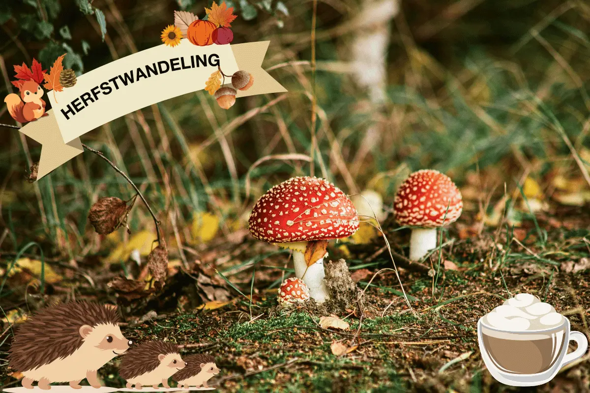 Autumn Walk Hoeve Ravenstein