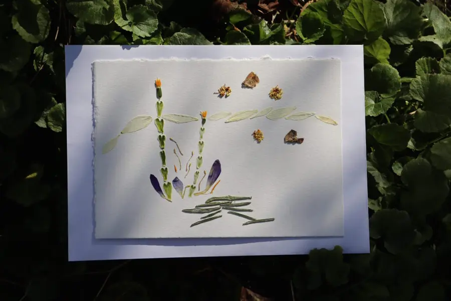 Autumn Workshop: Botanical Art (Oshibana)