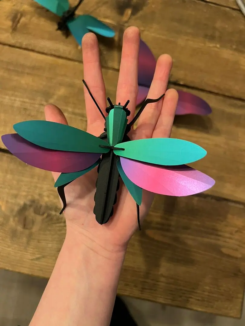 The Carnival of the Insects