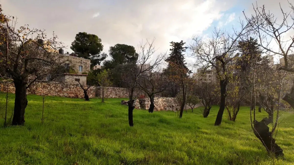 In-Process Screening & Talk: Azziza - In a Cherished Land