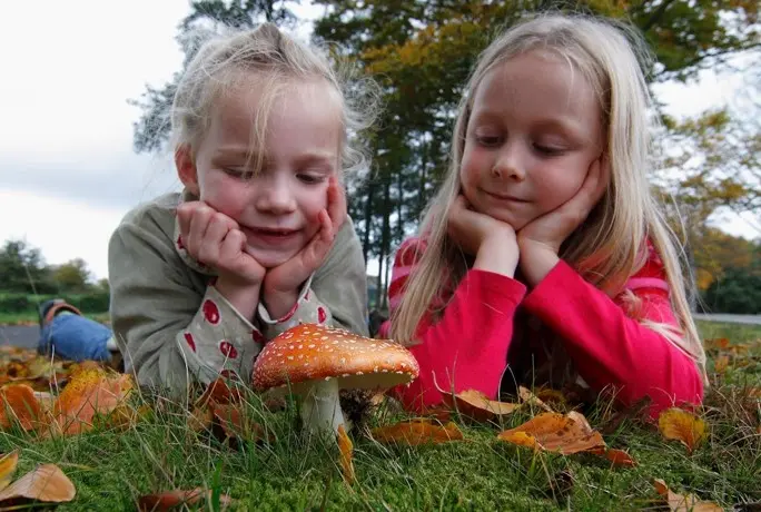 Jeugdnatuurclub, Kinderboerderij – Leiden 1/11/26