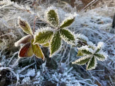 Children's workshop: Winter fun