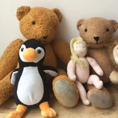 Cuddly Toy Consultation Hour
