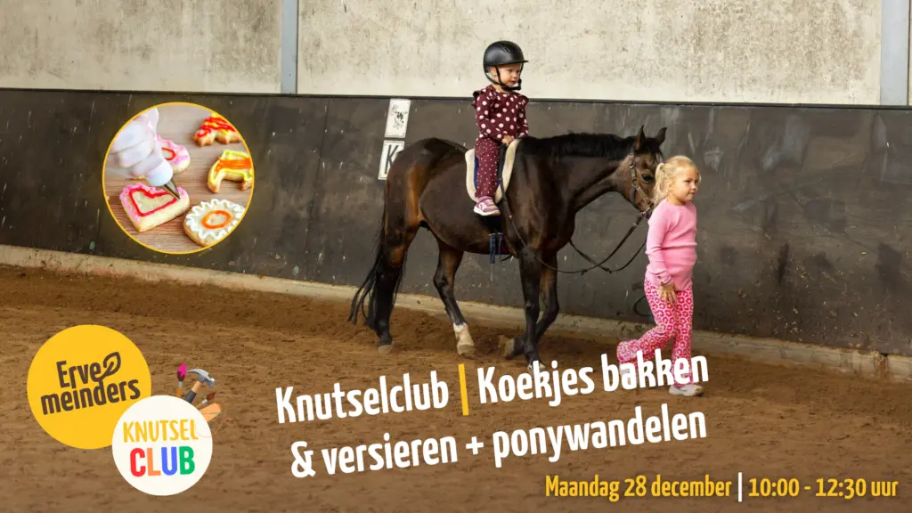 Craft club (5+) – Cookie baking & decorating + pony walking
