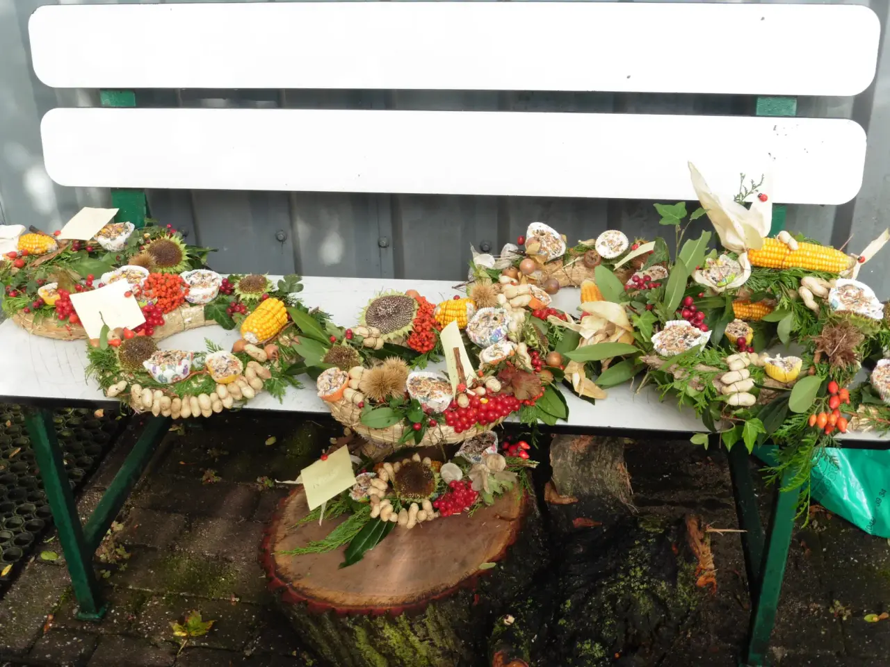 Kids craft afternoon: ‘From nature for nature in the heart of winter’ Wed 18 Nov Registration required !