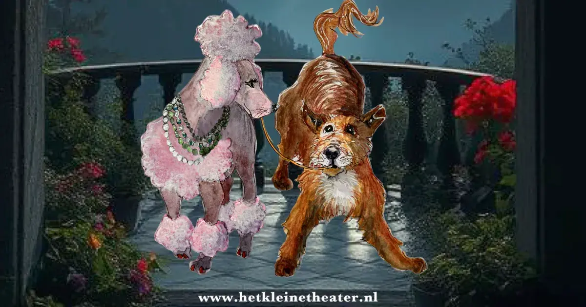 Lady en de Vage Hond — Het Kleine Theater