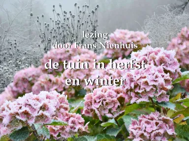 Lecture: The garden in autumn and winter