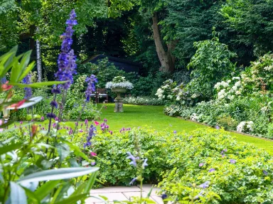 Lecture: From Pruning to Blooming - The Secret of a Garden That Stays Beautiful