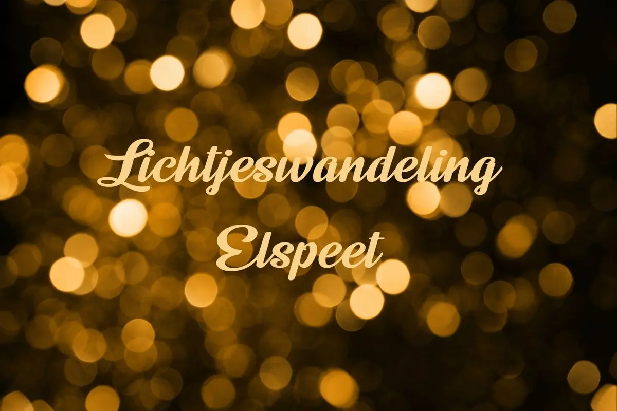 Light Walk Elspeet