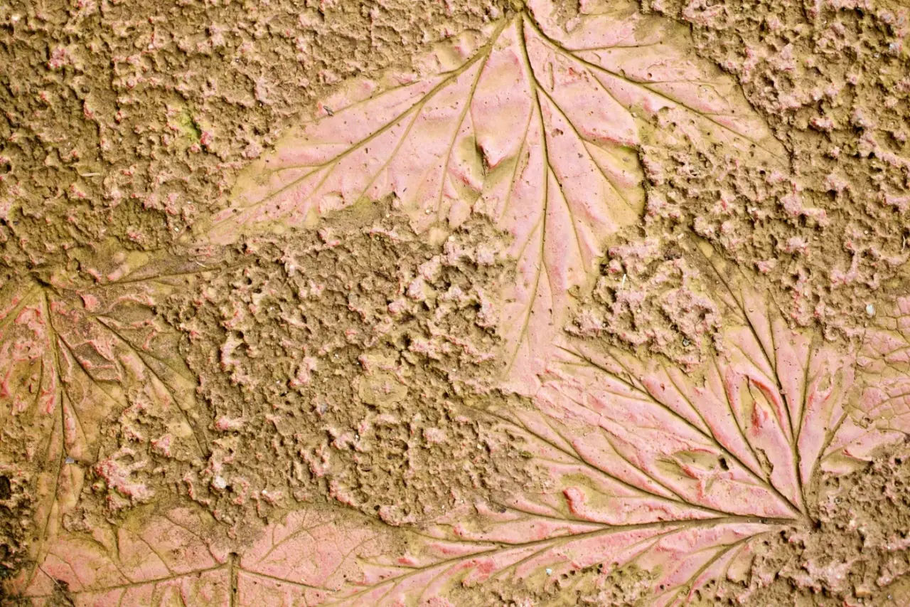 Nature Prints in Clay