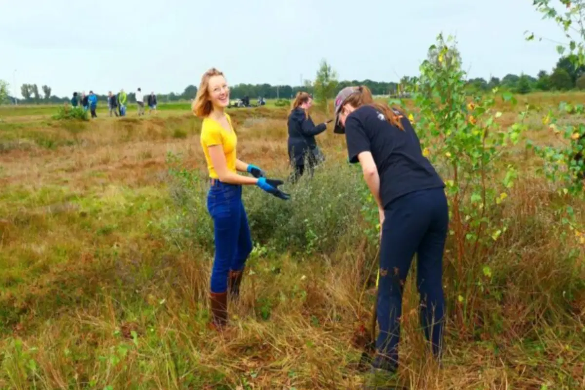 Nature Workday on the Bussummerheide