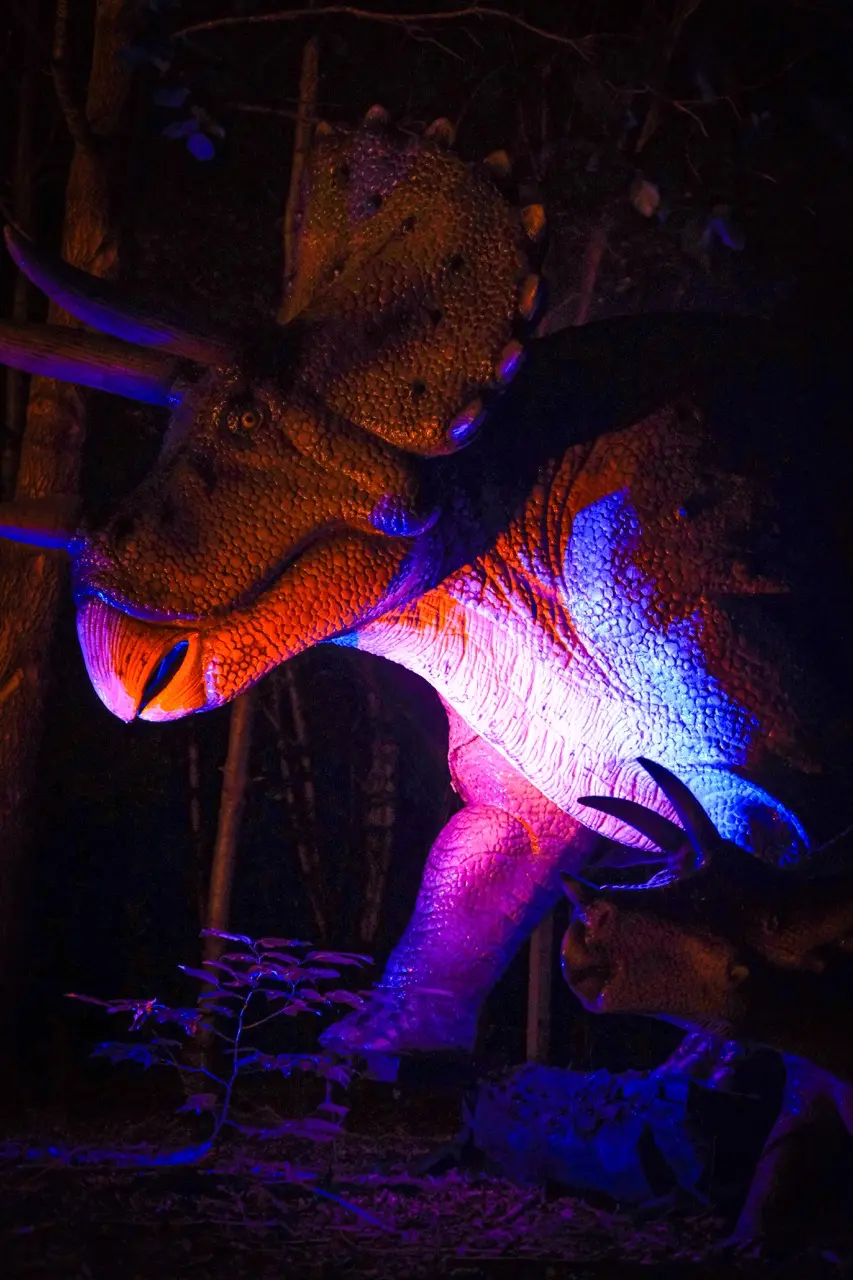 Night of the DinoLights