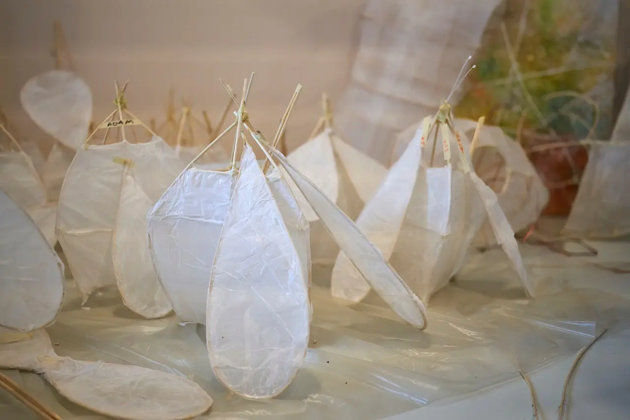 Open Kinderatelier | Special edition – Sint Maarten