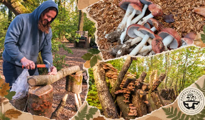 Growing mushrooms in a (vegetable) garden/forest