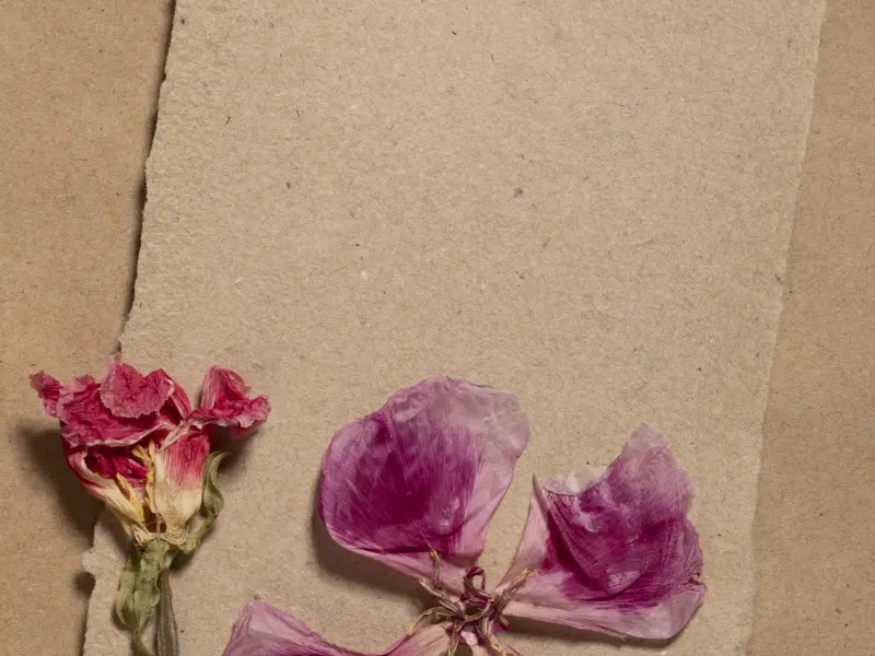 Making paper