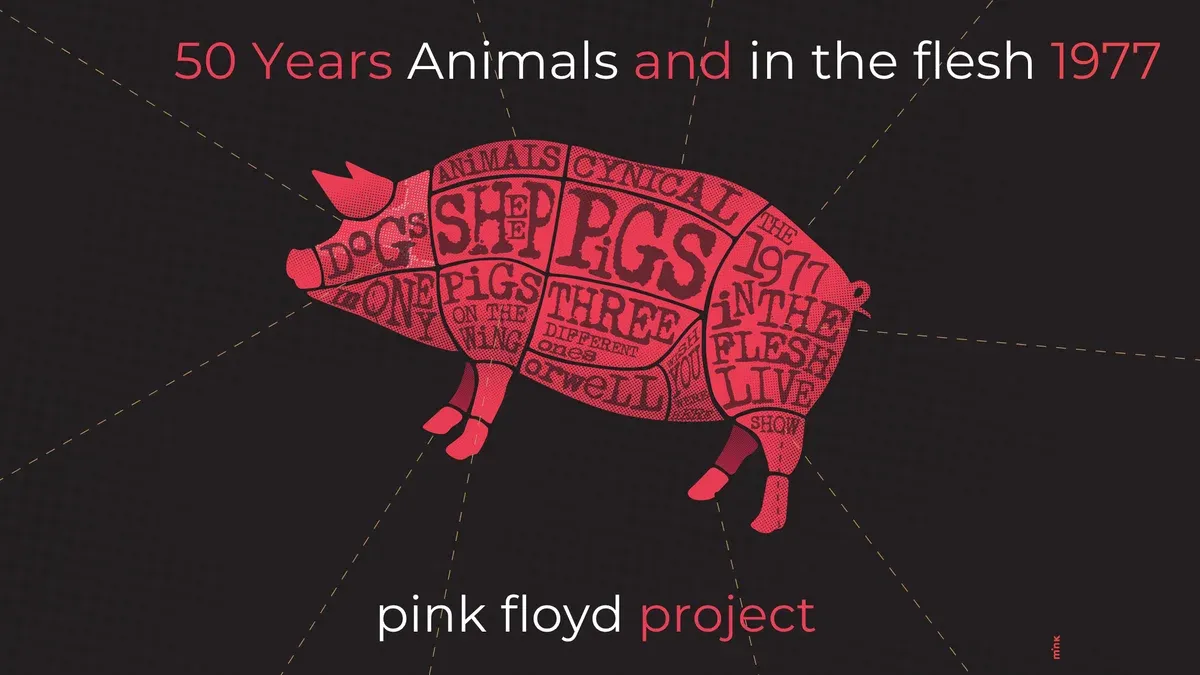Pink Floyd Project presents