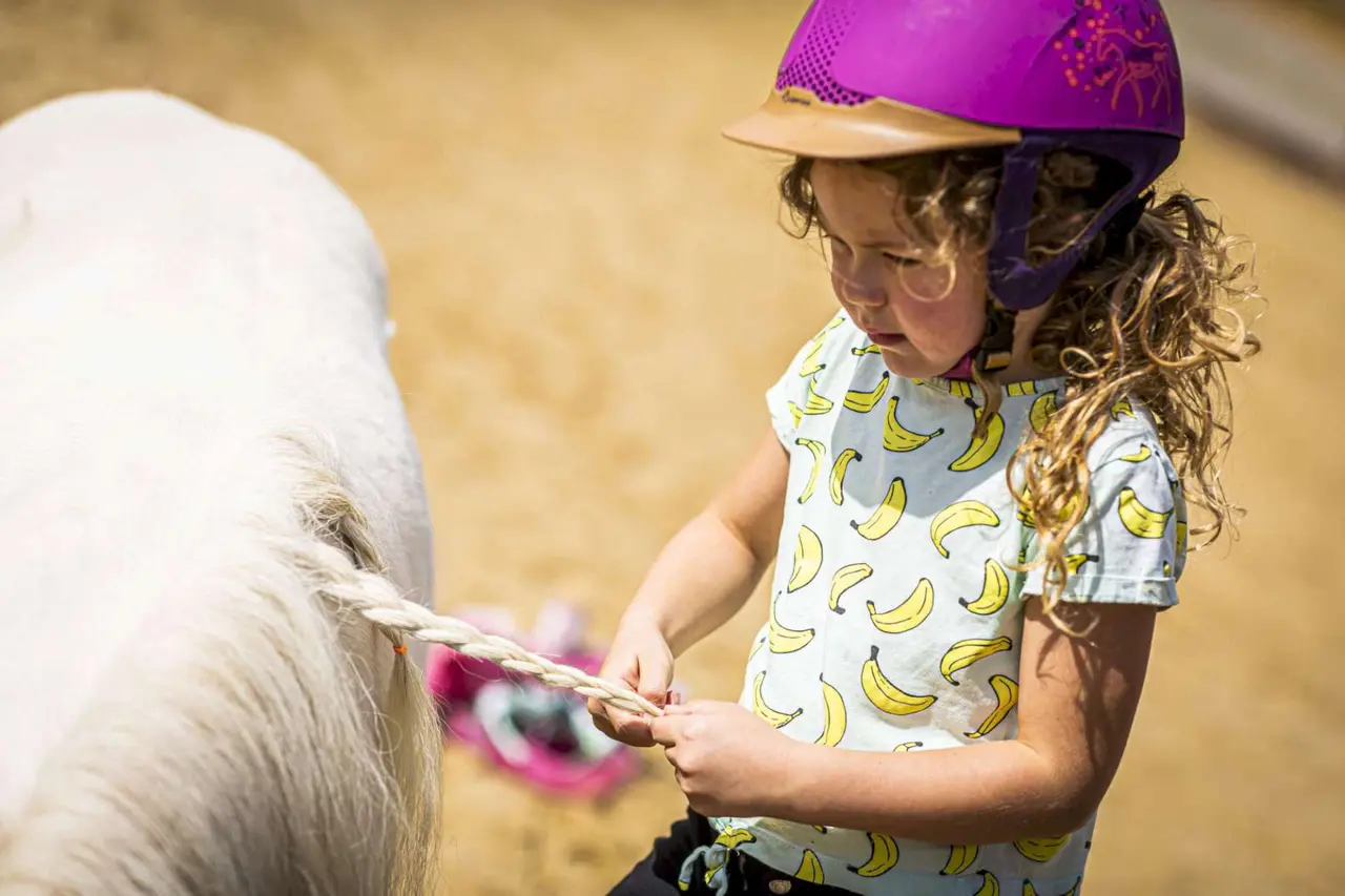 Pony afternoon (6+) – Manege Meinders