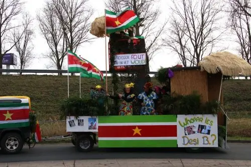 Reedeurpse Carnavalsoptocht - Optocht Reeuwijk