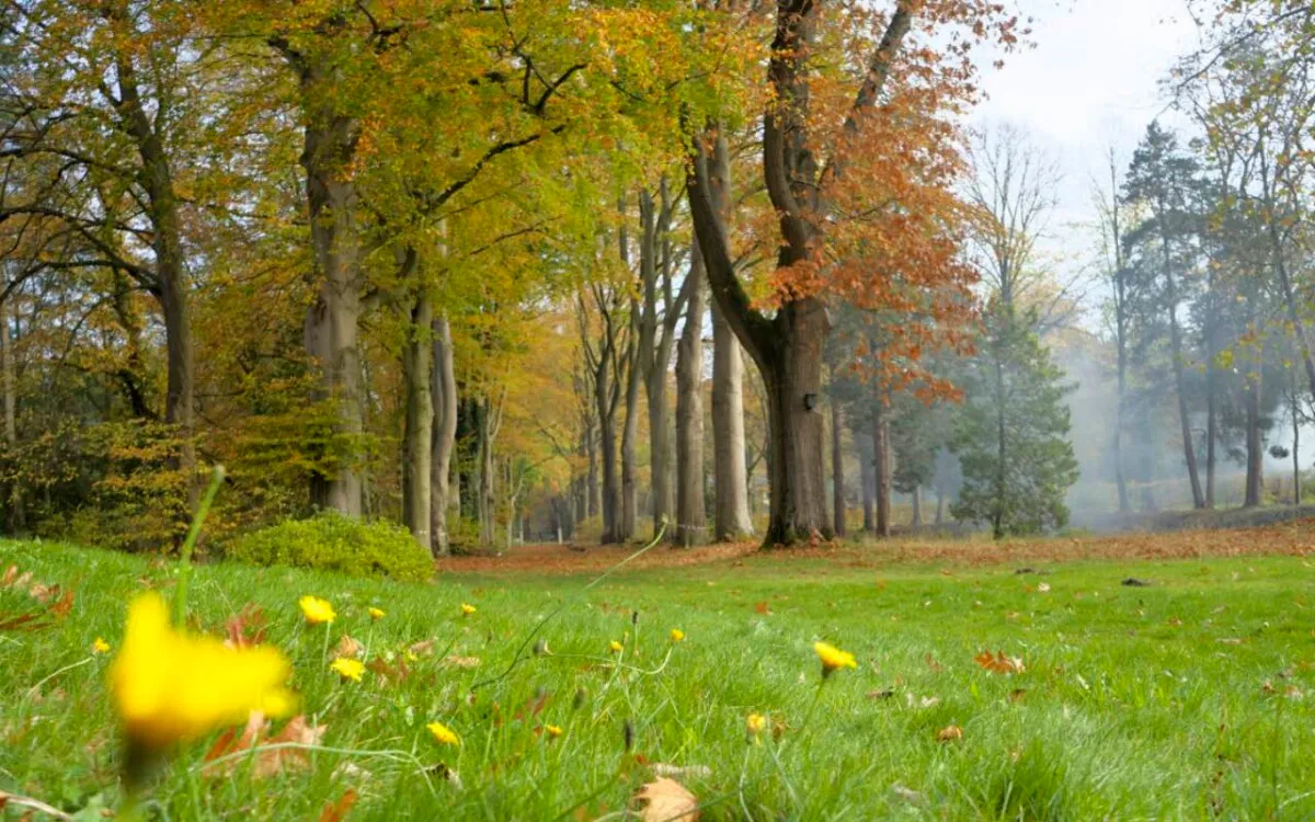 Retreat 'Dying Moments in Life'