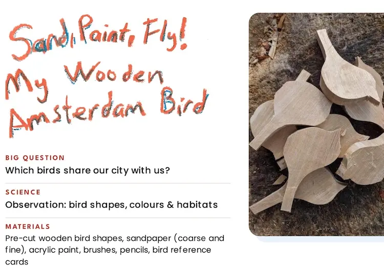 Sand, Paint & Fly!