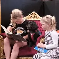School dog Bumper visits the Library