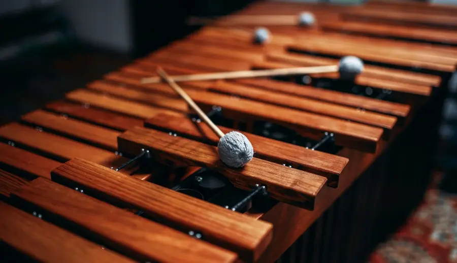 Percussion Day with Cadenza Twello