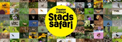 Stadssafari