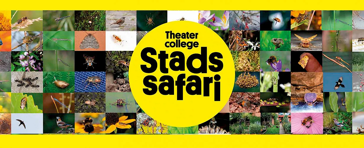 Stadssafari, from the makers of De Nieuwe Wildernis