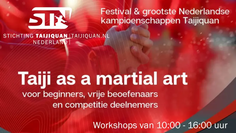 STN taijiquan festival