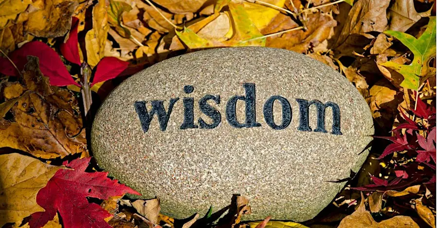 Tile Wisdom Workshop Soest