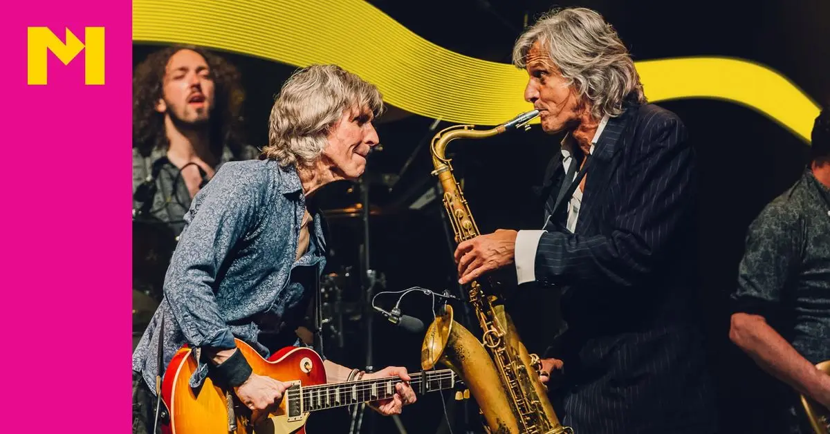 The Dire Straits Experience in Enschede